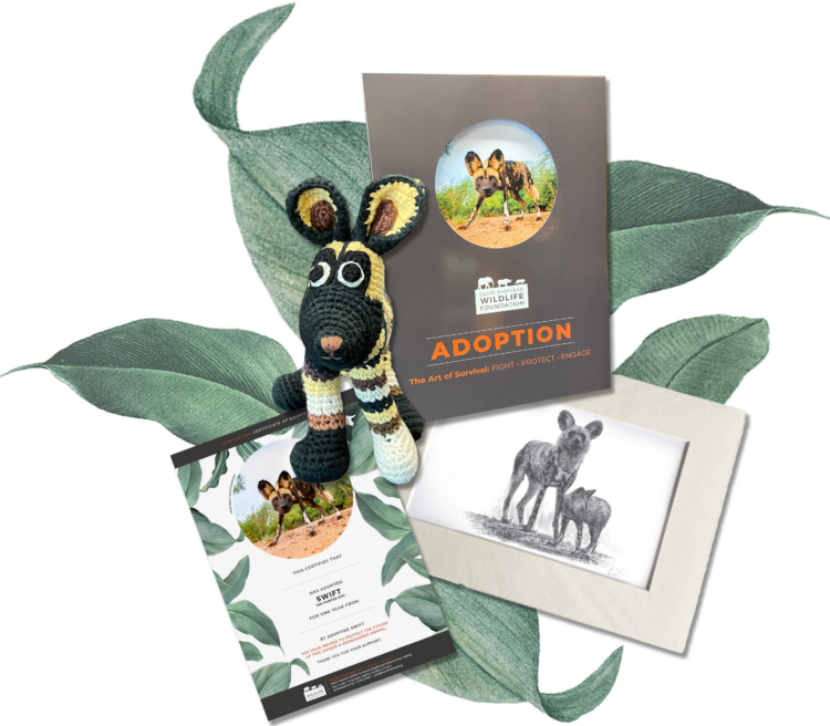 Adopt a Painted Dog from £3 a month Handknitted Painted Dog toy