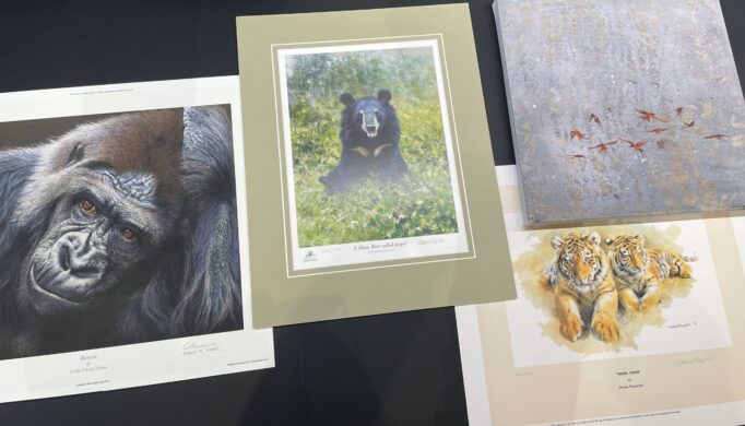 Image of Jungle Bundle artworks