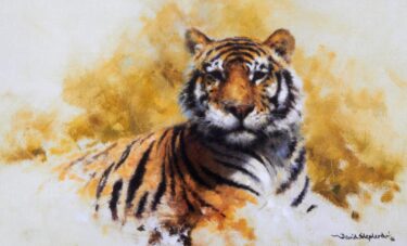 Image of Tiger Sketch by David Shepherd