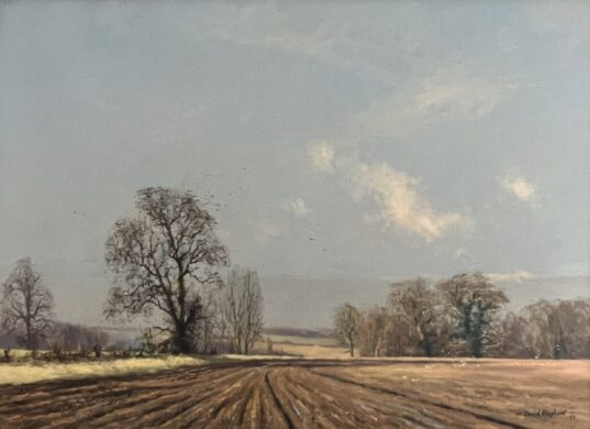 Image of Landscape Ploughed Field by David Shepherd