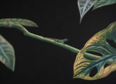 Image of Its a Big World by Jess Pritchard