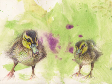Image of Ducklings by Marella and Mart