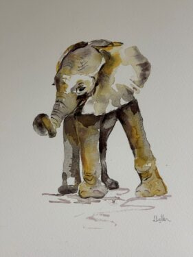 Image of Baby Ellie by Lindy Cullen