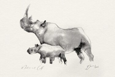 Image of Mother and Calf by Joni Leigh Doran